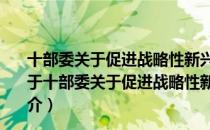 十部委关于促进战略性新兴产业国际化发展的指导意见（关于十部委关于促进战略性新兴产业国际化发展的指导意见简介）