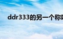 ddr333的另一个称呼是什么（ddr333）