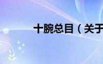十腕总目（关于十腕总目简介）