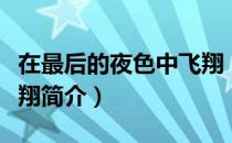 在最后的夜色中飞翔（关于在最后的夜色中飞翔简介）