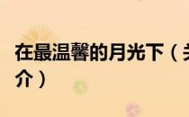 在最温馨的月光下（关于在最温馨的月光下简介）