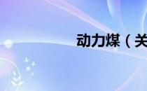 动力煤（关于动力煤）
