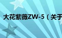 大花紫薇ZW-5（关于大花紫薇ZW-5简介）