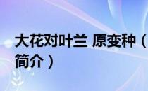 大花对叶兰 原变种（关于大花对叶兰 原变种简介）
