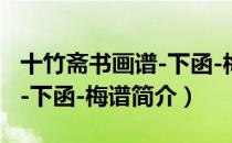 十竹斋书画谱-下函-梅谱（关于十竹斋书画谱-下函-梅谱简介）