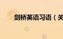 剑桥英语习语（关于剑桥英语习语）