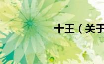 十王（关于十王简介）
