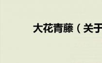 大花青藤（关于大花青藤简介）