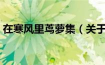在寒风里茑萝集（关于在寒风里茑萝集简介）