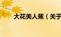 大花美人蕉（关于大花美人蕉简介）