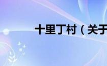 十里丁村（关于十里丁村简介）
