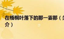 在梧桐叶落下的那一霎那（关于在梧桐叶落下的那一霎那简介）