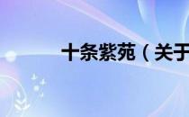 十条紫苑（关于十条紫苑简介）
