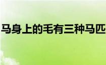 马身上的毛有三种马匹的毛色看起来千变万化