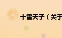 十雪天子（关于十雪天子简介）