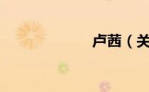 卢茜（关于卢茜）