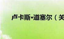 卢卡斯·道塞尔（关于卢卡斯·道塞尔）