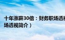 十年涨薪30倍：财务职场透视（关于十年涨薪30倍：财务职场透视简介）