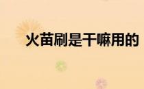 火苗刷是干嘛用的（动燃火焰哪里刷）