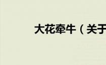 大花牵牛（关于大花牵牛简介）
