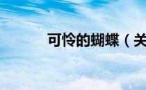 可怜的蝴蝶（关于可怜的蝴蝶）