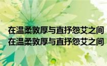 在温柔敦厚与直抒怨艾之间：中国文学中的诗怨传统（关于在温柔敦厚与直抒怨艾之间：中国文学中的诗怨传统简介）