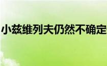 小兹维列夫仍然不确定是否前往纽约参加美网
