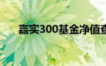 嘉实300基金净值查询（嘉实300etf）