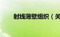 射线薄壁组织（关于射线薄壁组织）