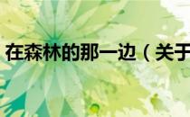 在森林的那一边（关于在森林的那一边简介）