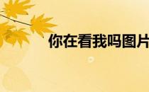 你在看我吗图片（你在看我吗）