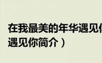 在我最美的年华遇见你（关于在我最美的年华遇见你简介）