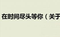 在时间尽头等你（关于在时间尽头等你简介）