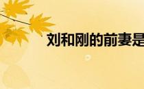 刘和刚的前妻是谁（刘刚老婆）