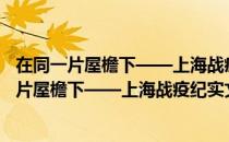 在同一片屋檐下——上海战疫纪实文学作品选（关于在同一片屋檐下——上海战疫纪实文学作品选简介）