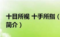 十目所视 十手所指（关于十目所视 十手所指简介）