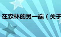 在森林的另一端（关于在森林的另一端简介）