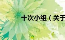 十次小组（关于十次小组简介）