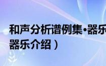 和声分析谱例集·器乐（关于和声分析谱例集·器乐介绍）