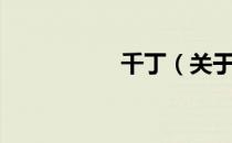 千丁（关于千丁简介）