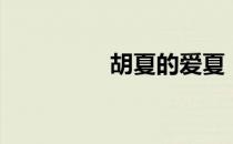 胡夏的爱夏（勉强胡夏）