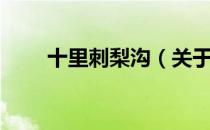 十里刺梨沟（关于十里刺梨沟简介）