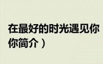 在最好的时光遇见你（关于在最好的时光遇见你简介）