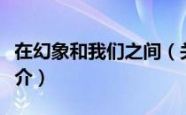 在幻象和我们之间（关于在幻象和我们之间简介）