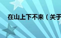 在山上下不来（关于在山上下不来简介）