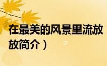在最美的风景里流放（关于在最美的风景里流放简介）