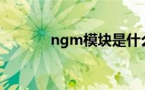 ngm模块是什么（ngm模块）
