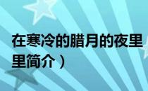 在寒冷的腊月的夜里（关于在寒冷的腊月的夜里简介）