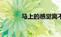 马上的感觉离不开马下的功夫