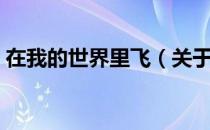 在我的世界里飞（关于在我的世界里飞简介）